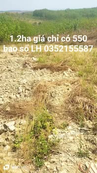 Bán Gấp 1.2ha Đất Nông Nghiệp Đắk Nông - Giá 550 Triệu