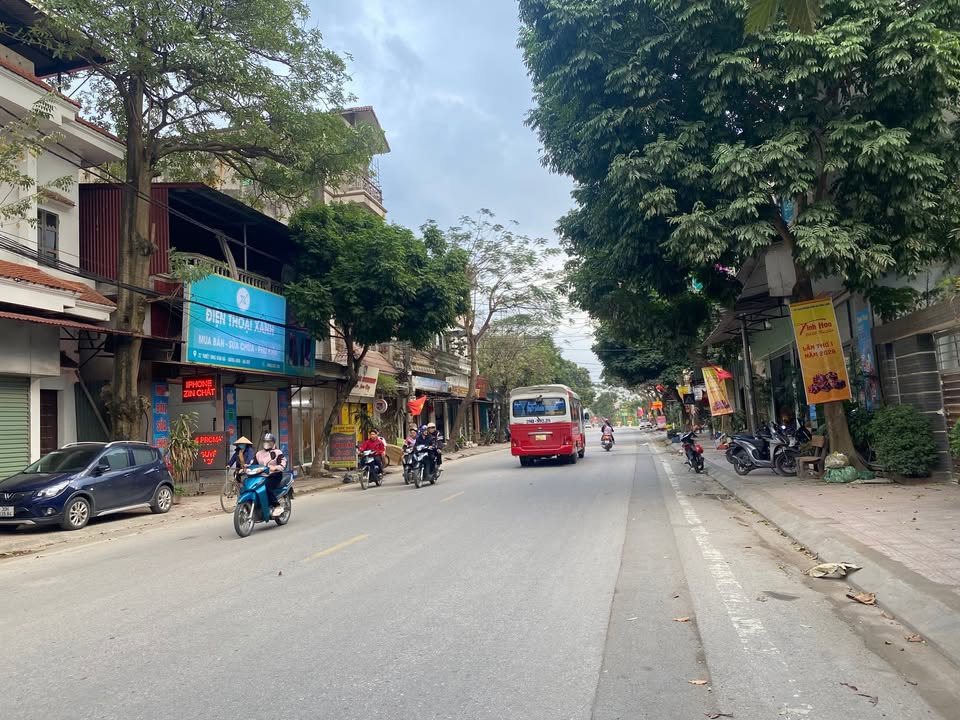 Đất nền F0 Thiết Úng, Đông Anh - 300m² 2 mặt tiền, ô tô tránh