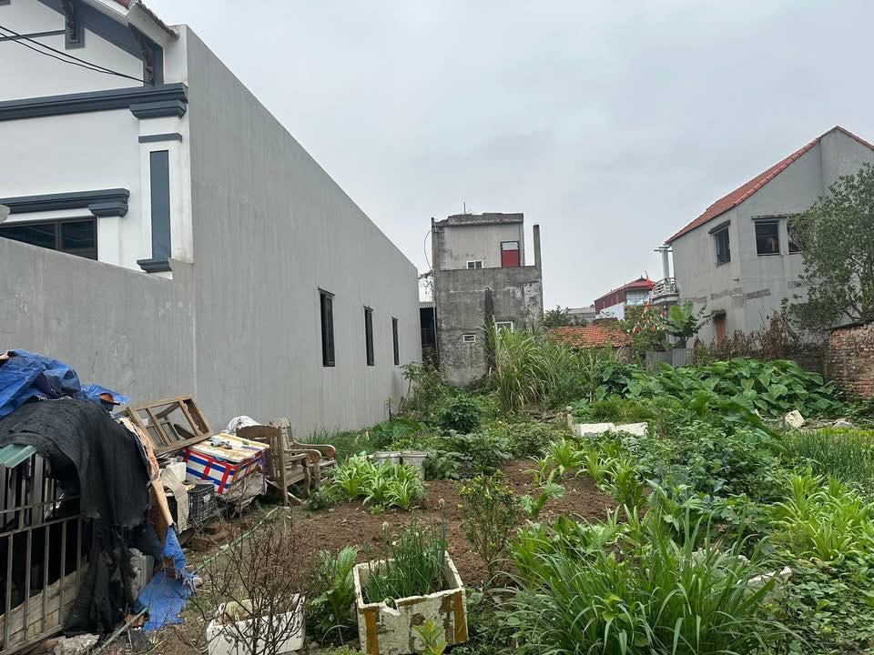 Đất nền Cẩm Giàng 141m² giá 2 tỷ - Tiềm năng tăng giá vượt trội!