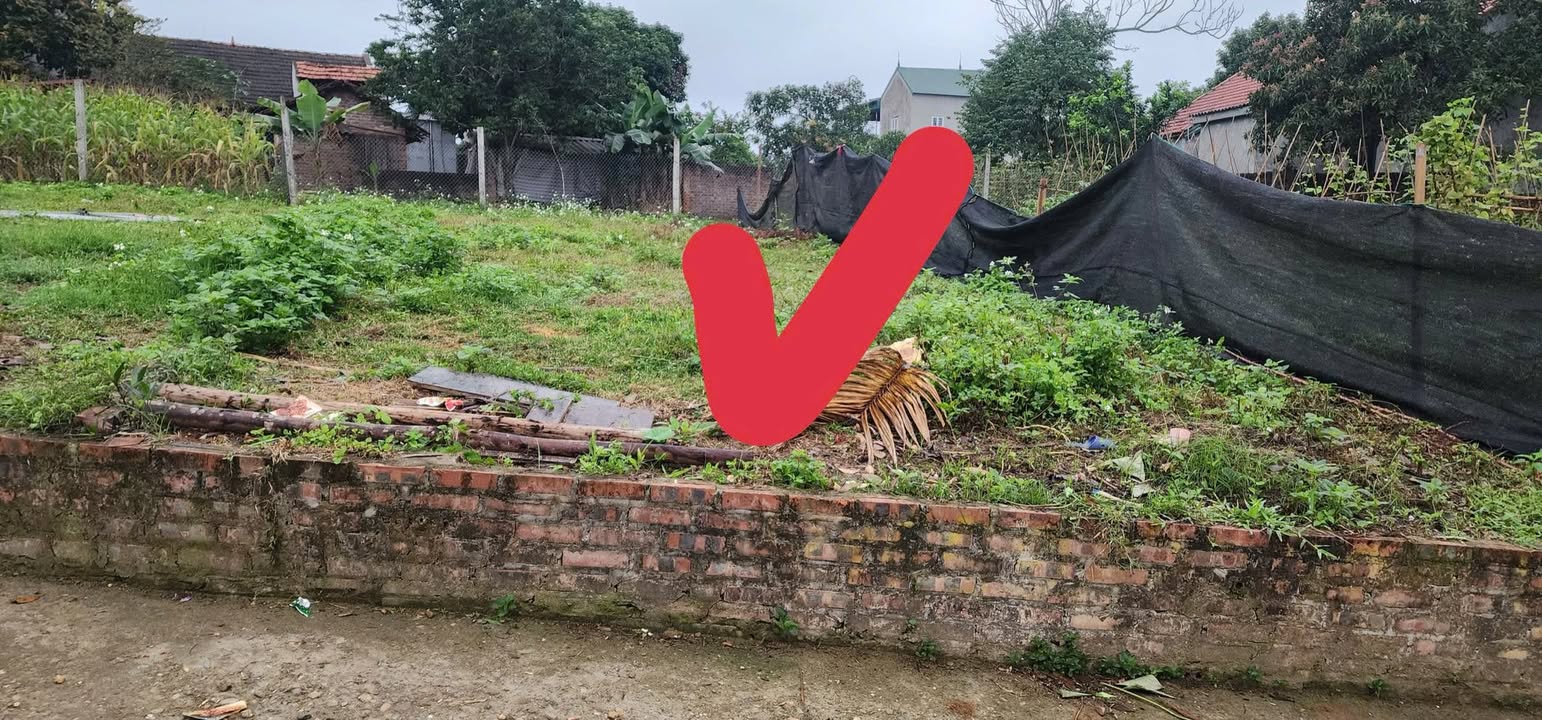 Đất nền Đào Xá Thanh Thủy 114m² giá 600 triệu - Sổ đỏ chính chủ