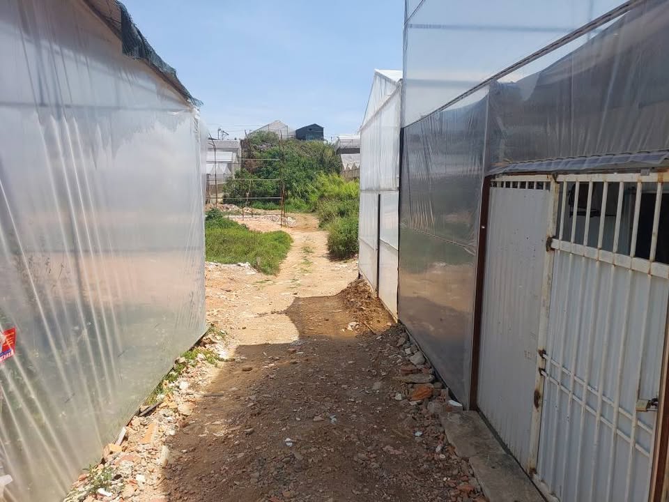 Đất nền Võ Trường Toản, Đà Lạt 56m² - Tiềm năng tăng giá!