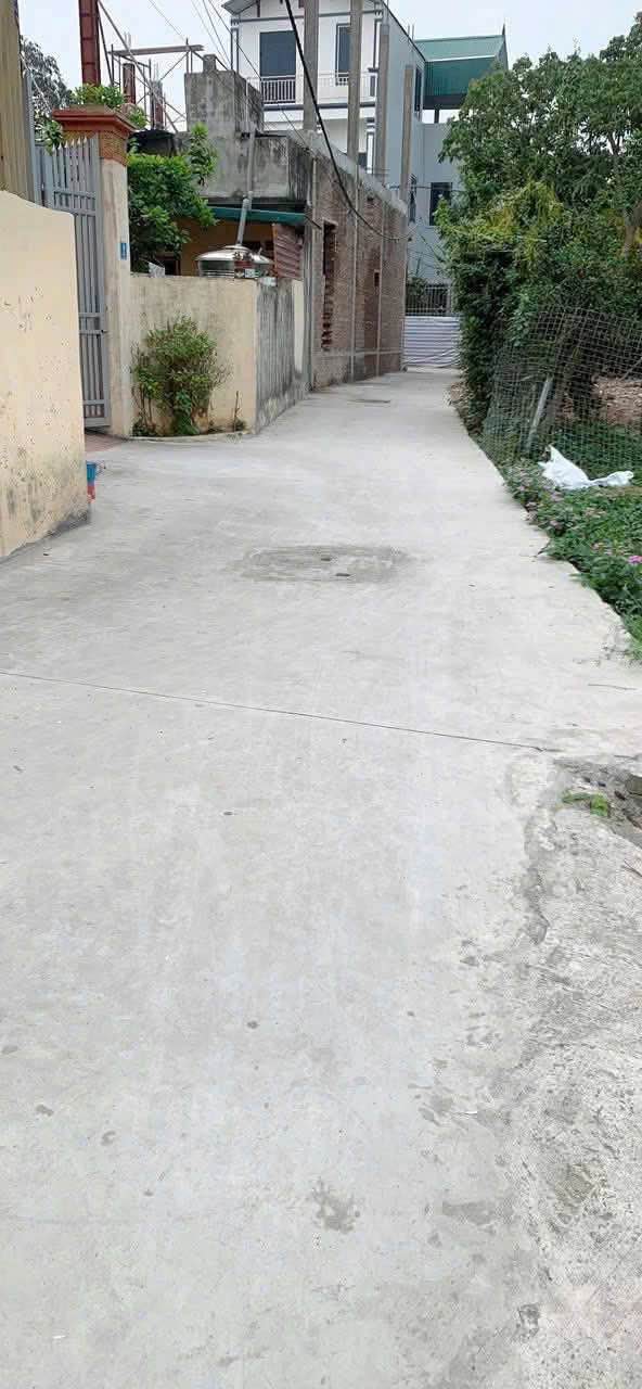 Đất nền Tam Hưng Thanh Oai 42.3m² - Tiềm năng tăng giá vượt trội!