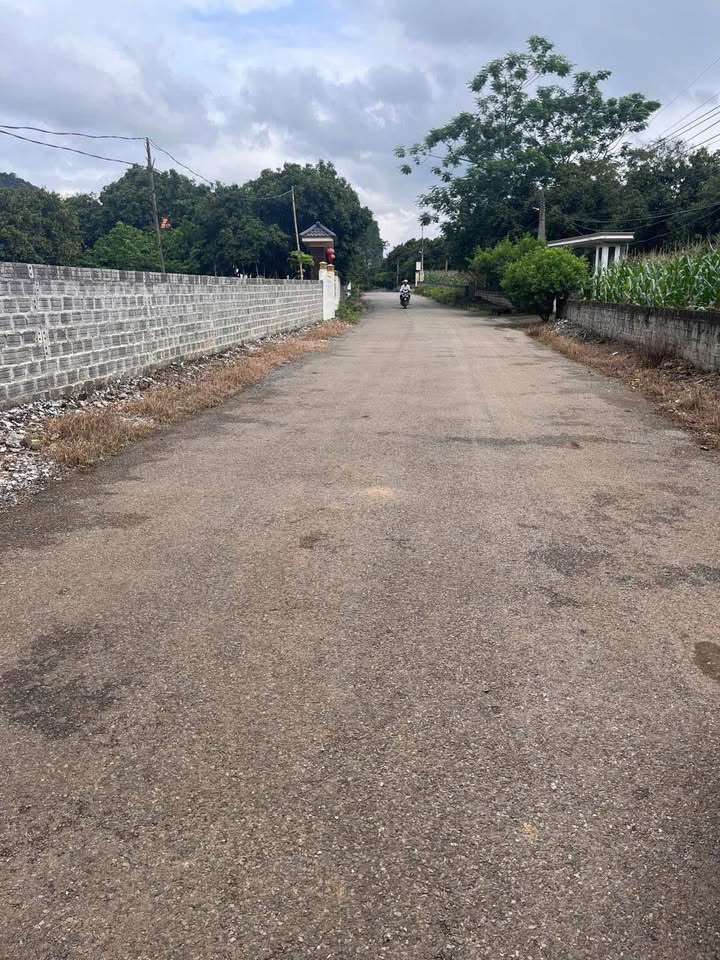 Đất nền Cẩm Thủy Thanh Hóa 149m² giá 500 triệu - Sổ đỏ chính chủ!