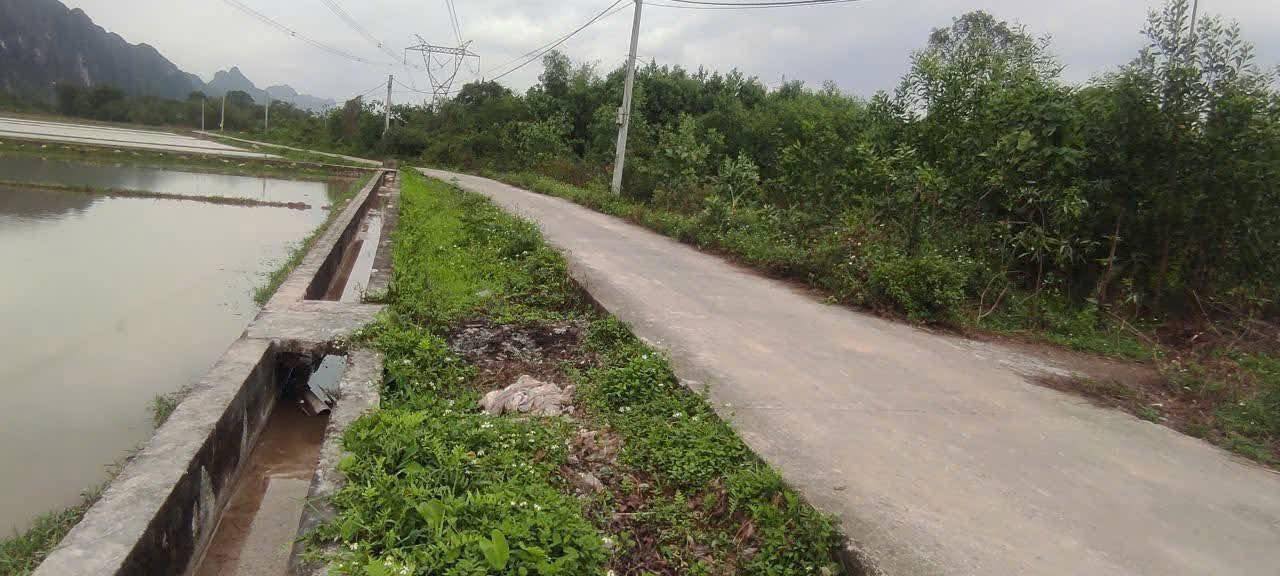 Đất Nền Nho Quan Ninh Bình 200m² - Sổ Đỏ Chính Chủ