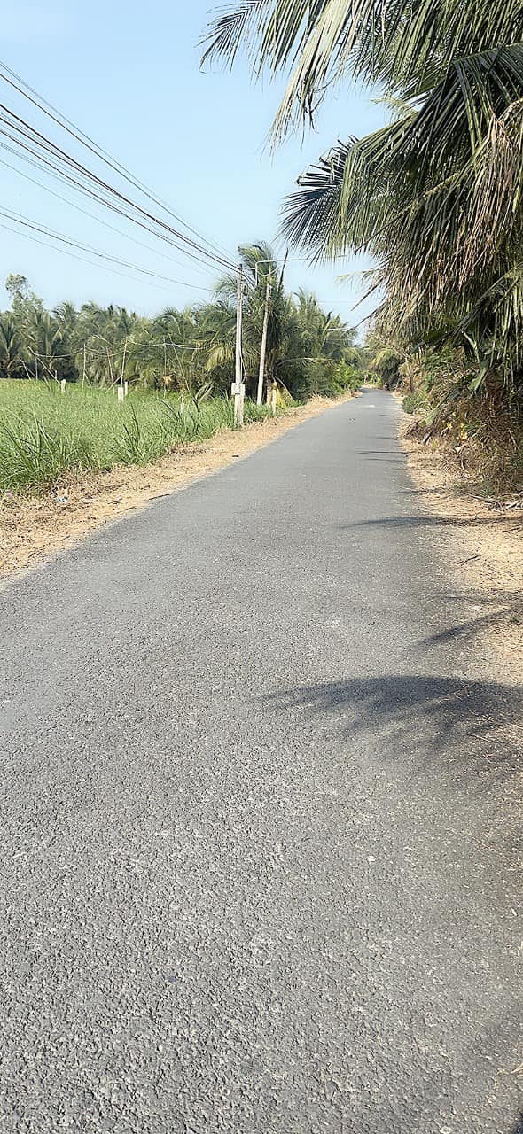 Đất Nền Mặt Tiền Lê Thị Lệ Chi, Đồng Tháp - 649m² Giá 730 Triệu