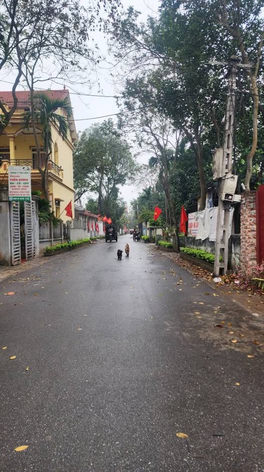 Đất 400m² Trung Hà, Vĩnh Phúc - Sổ đỏ Full Thổ Cư, Giá Đầu Tư Tốt