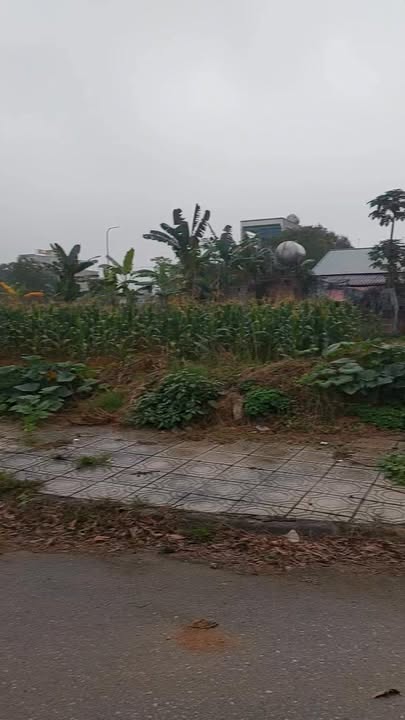 Đất nền 100m² - Khu Đô Thị Công An, Phú Thọ - Sổ Hồng Sẵn Sàng