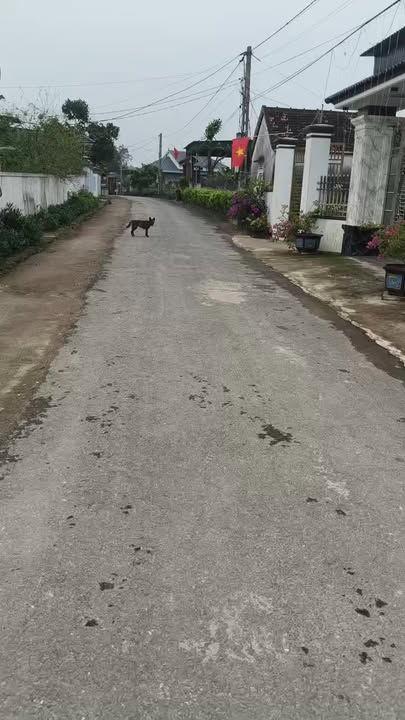 Đất thổ cư Nam Nghĩa, Nam Đàn 259m² - Sổ đỏ sẵn sàng, giá 1.x tỷ