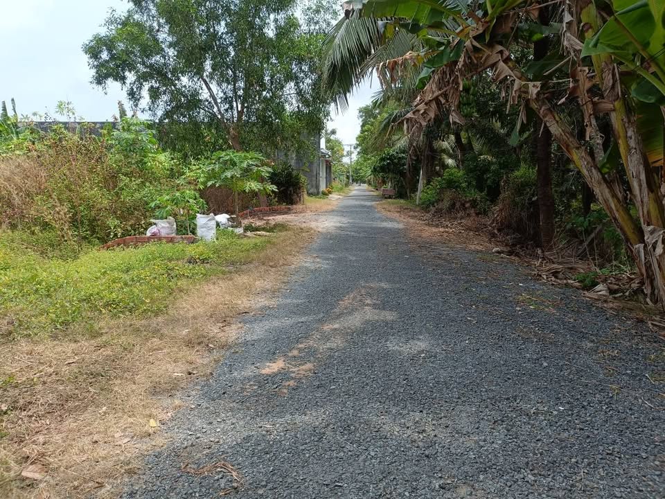 Bán Nền Thổ Cư 115m² Phường Long Đức, Càng Long - Sổ Đỏ, Giá 500 Triệu