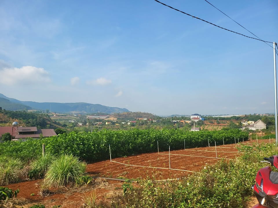 Bán đất Nam Ban Lâm Hà 528m² giá 1.29 tỷ - Sổ hồng sẵn, đất bằng