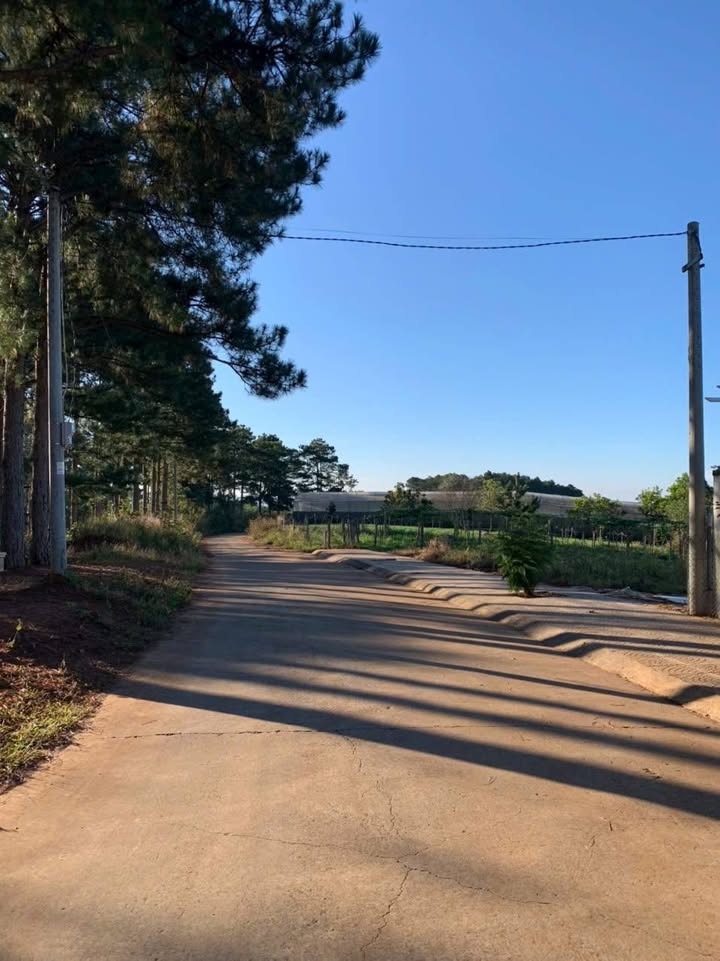 Đất nền Nam Ban 1246m² giá 1.5 tỷ - Sổ hồng sẵn, view rừng thông!