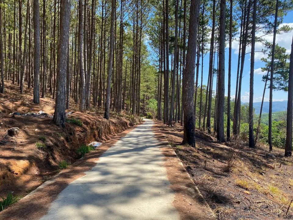 Bán Đất Nông Nghiệp 2285m² Trạm Hành, Đà Lạt - Sổ Riêng, View Thoáng