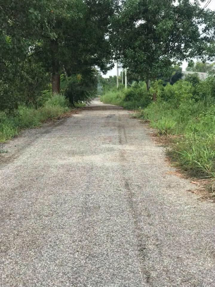 Đất nền Tiến Thành Đồng Xoài 174m² - Đất thổ cư 100%!