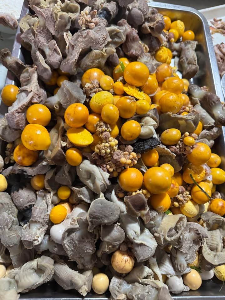 Đất Lô Góc Trục Thủy lợi Phủ Lý - 50m² - 2.4 Tỷ - Sổ Đỏ Chính Chủ