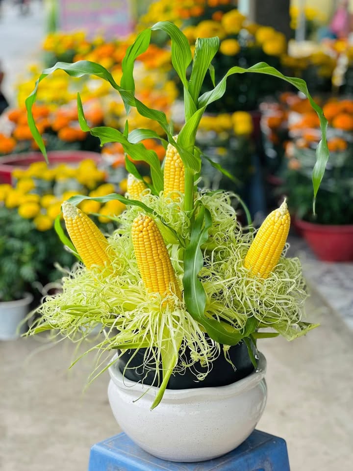 Đất nền Hòa Thành 370m² Tây Ninh - Tiềm năng tăng giá vượt trội!