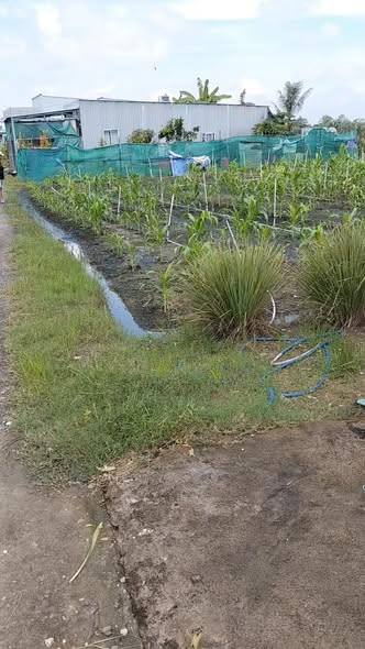 Đất Vườn 1500m² Mặt Tiền 23.65m Phường Long Hưng, Gò Công - Giá Đầu Tư 2.1 Tỷ