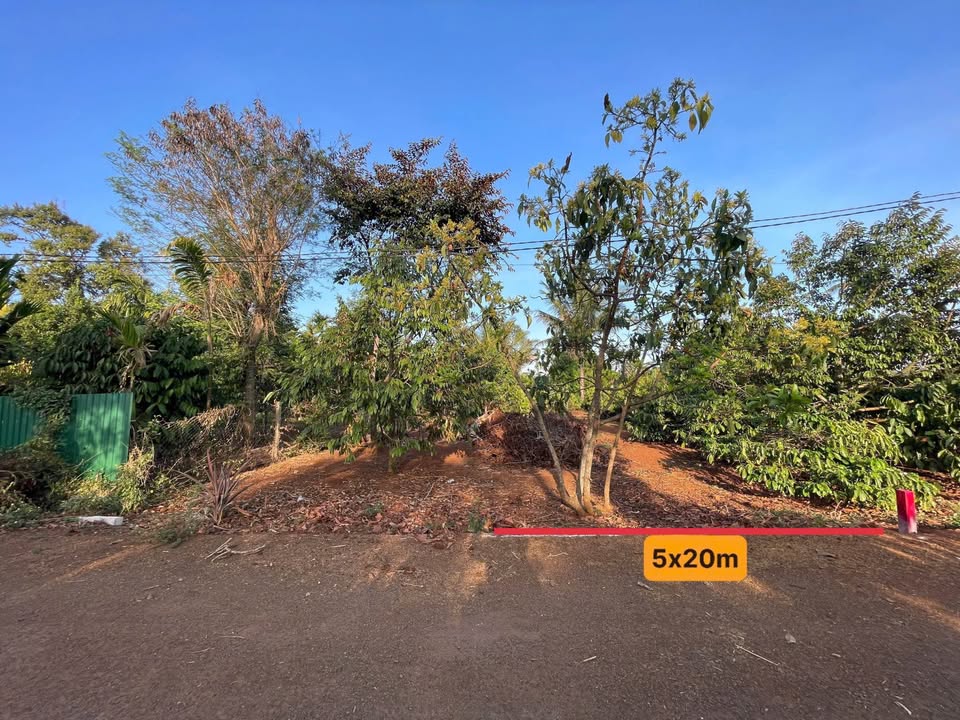 Nhà mặt tiền hẻm 171 Nguyễn Thái Bình, BMT - 100m² Sổ Riêng - Giá 980 Triệu