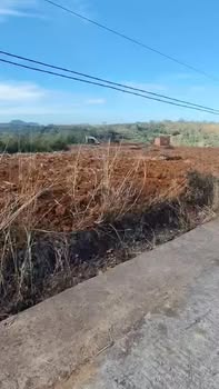 Đất Rẫy Gia Nghĩa 1.3ha Giá 2.7 Tỷ - Sổ Hồng Sẵn Sàng Sang Tên!