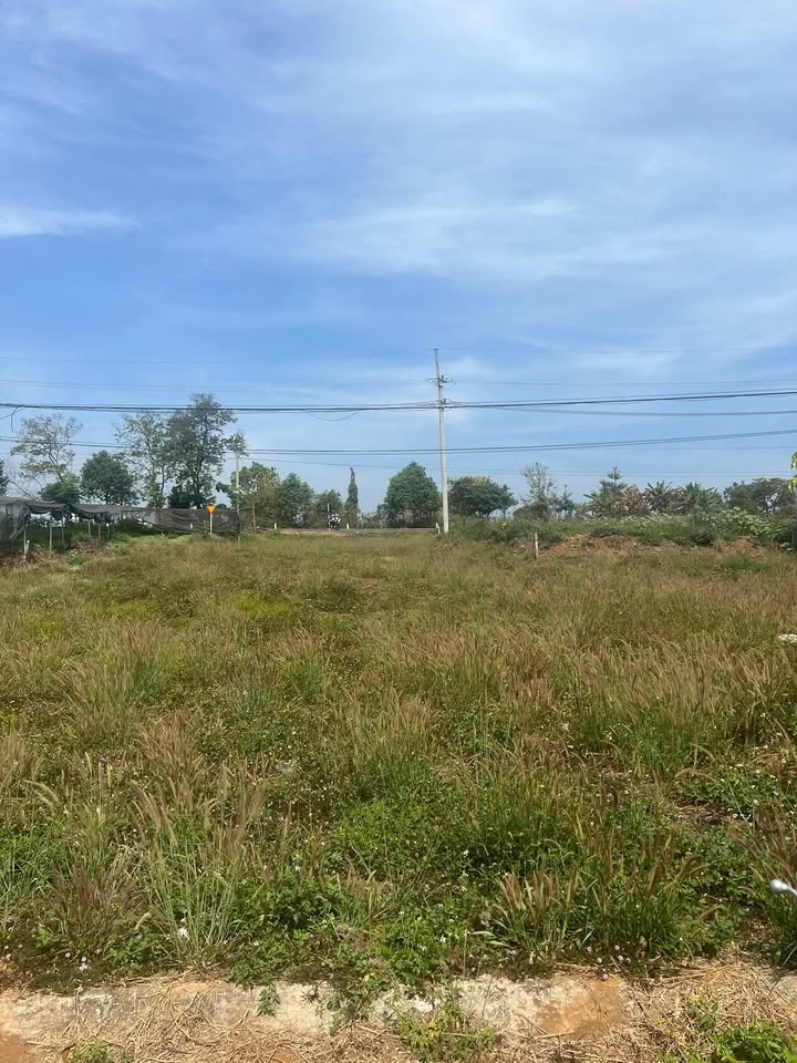 Đất Nền Đắk Mil, Đắk Nông - 250m² Full Thổ Cư, Hướng Hồ Tây, Giá 2.65 Tỷ