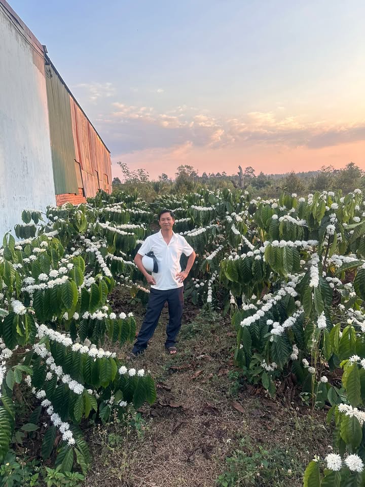 Đất nền Đắk R'La, Đắk Mil 300m² - Sổ đỏ chính chủ