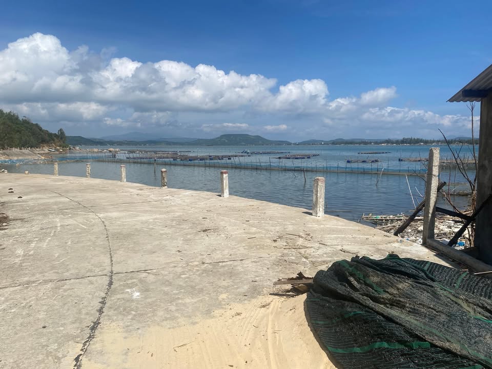 Đất nền Tuy An, Phú Yên 2000m² - Sổ đỏ chính chủ, view Đầm Ô Loan