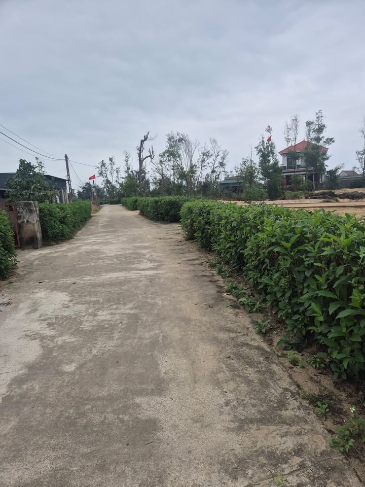 Đất nền Cẩm Dương 184m² Hà Tĩnh – Giá F0, tiềm năng vàng!