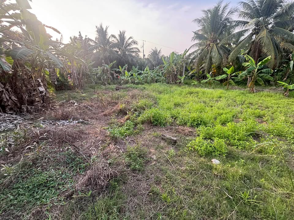 Đất nền Hựu Thành Trà Ôn 400m² - Đường to ô tô, giá 650 triệu!