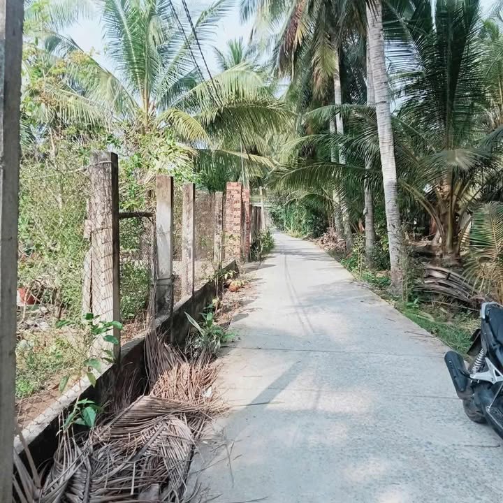 Nhà 150m² Tân Phú Tây, Bến Tre - Giá 450 Triệu, Sẵn Sổ Hồng