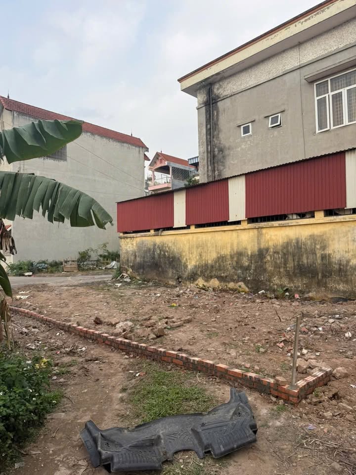 Bán Gấp Đất Đấu Giá Phúc Tiến, Hà Đông - 75m², 2 Mặt Đường Ô Tô Tránh