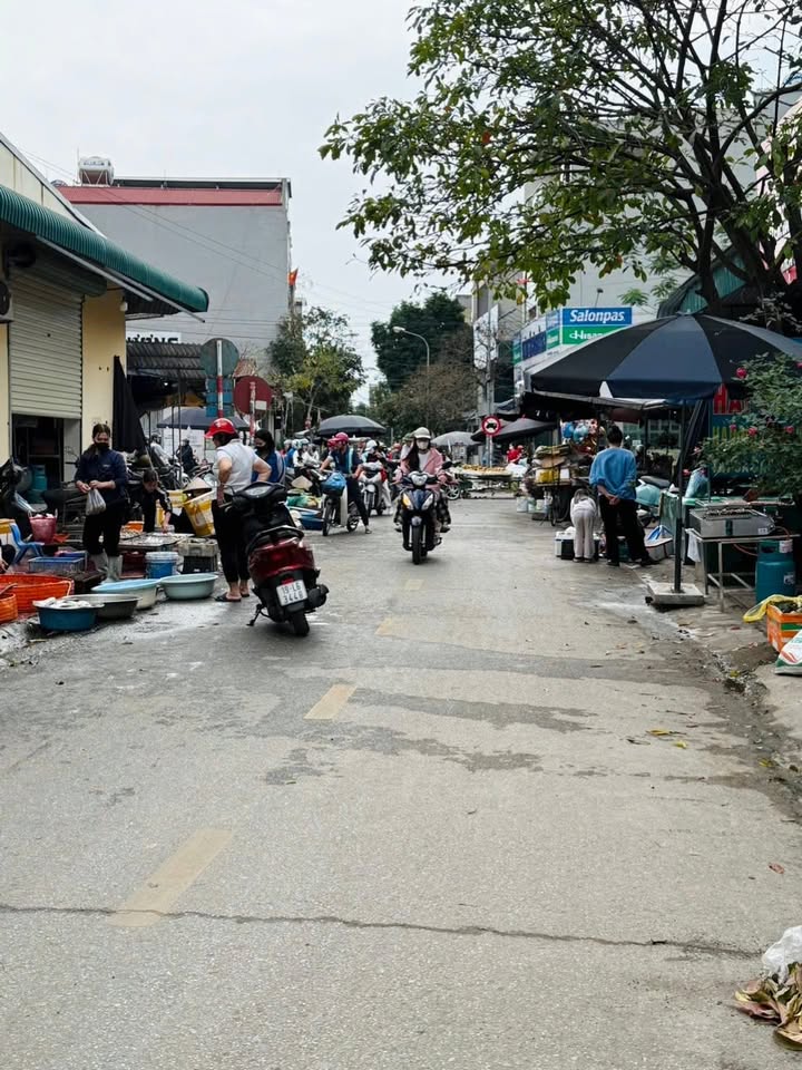 Đất nền kinh doanh Phường Minh Phương, Việt Trì - 82.7m², MT 4.5m, Hướng ĐN