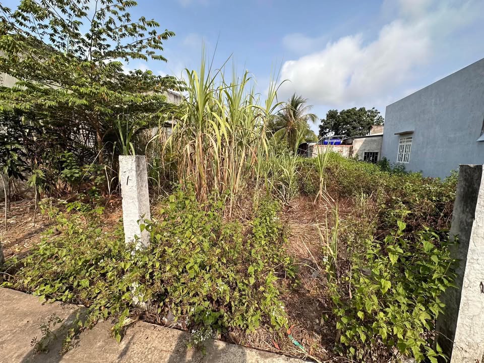 Đất nền Vĩnh Trị Long An 87m² 550 triệu - Giá đầu tư tốt!