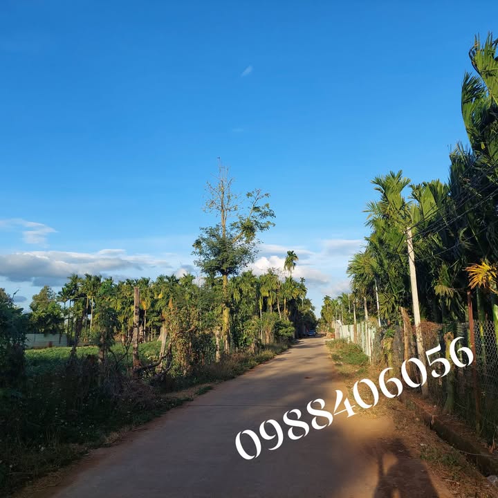 Đất nền Thôn 6, Hòa Thắng, Buôn Đôn 320m² - Sổ đỏ chính chủ