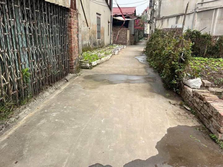 Đất nền 44m² Phù Khê Từ Sơn - Sổ đỏ chính chủ, tiềm năng tăng giá!