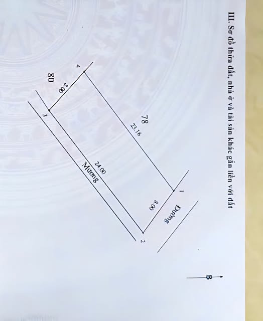 Đất nền Cẩm Quang, Hà Tĩnh 192m² - Sổ đỏ chính chủ, xây dựng tự do!