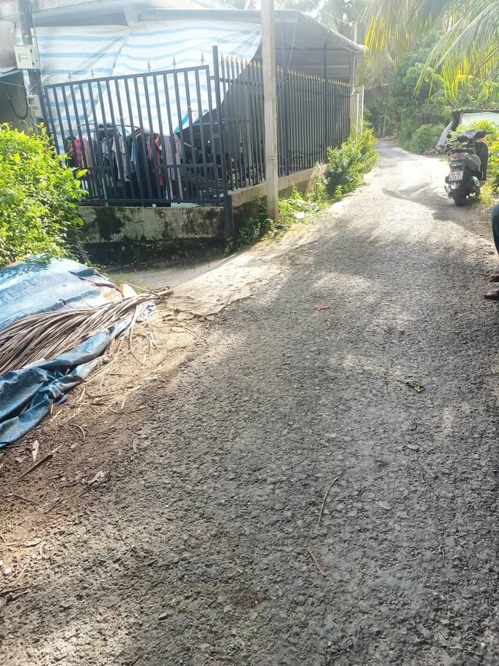 Bán Đất Vườn Long Phước, Vĩnh Long - 1000m² Sổ Đỏ - Giá 800 Triệu