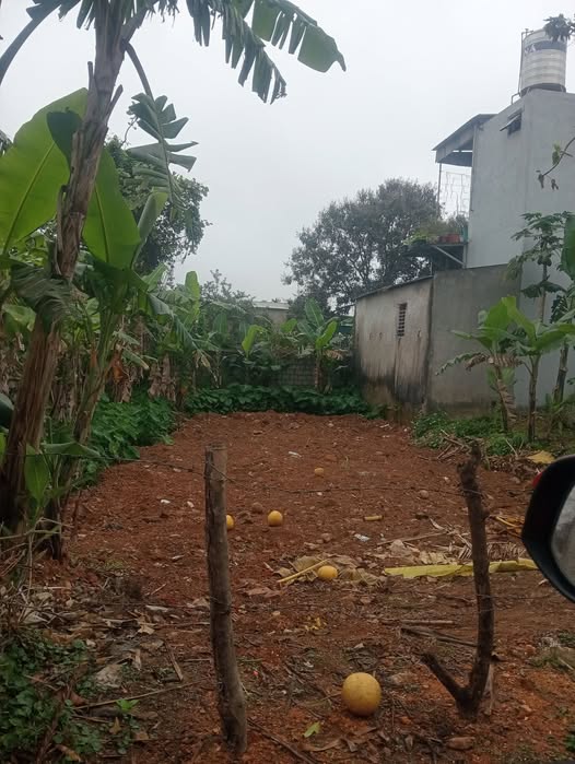 Đất nền Thôn Đoài, Bỉm Sơn - 120m² Sổ Đỏ, Tặng Vàng - Giá 7xx Triệu