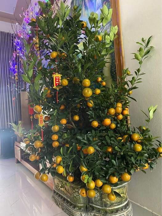 Nhà cấp 4 Bỉm Sơn 105m² view hồ - Vị trí đẹp