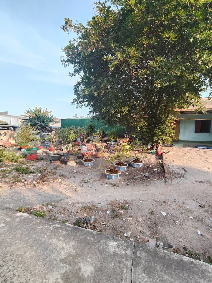 Đất Sổ Hồng Riêng - 5x23.5m - 800 Triệu Tại Lagi, Bình Thuận