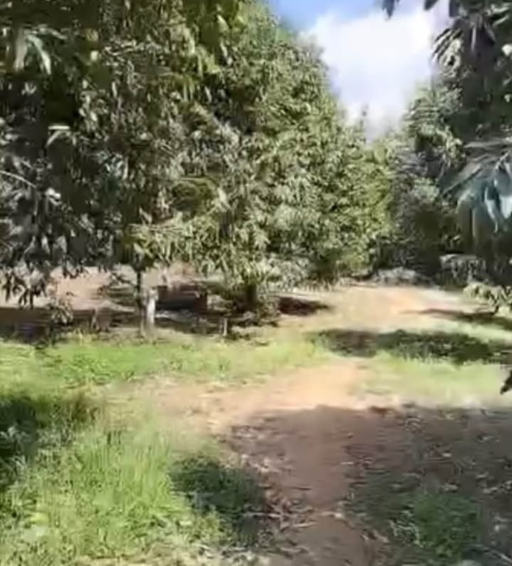 Đất nền Hà Lâm, Đạ Huoai 3600m² - Sổ đỏ chính chủ, giá tốt!