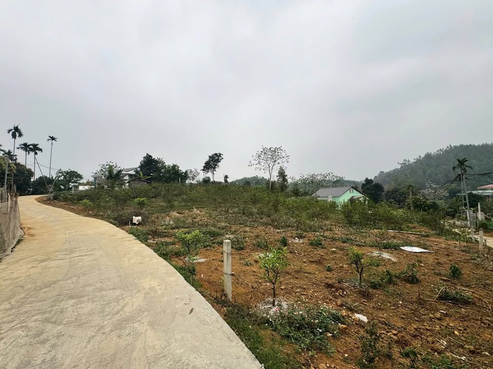 Đất nền Thanh Sơn, Lương Sơn 236m² - Sổ đỏ chính chủ