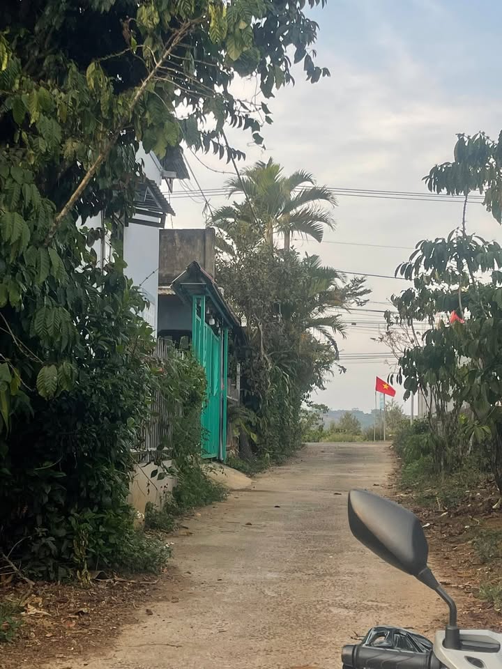 Bán Đất Lộc Ngãi, Bảo Lâm 125m² Sổ Đỏ Thổ Cư - Giá 650 Triệu