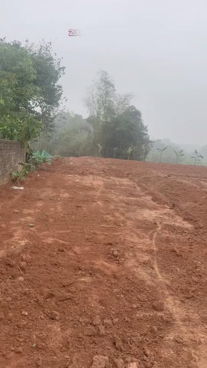 Đất nền 2000m² Đông Thành, Phú Thọ - Sổ đỏ vuông vắn, gần KCN Bãi Ba