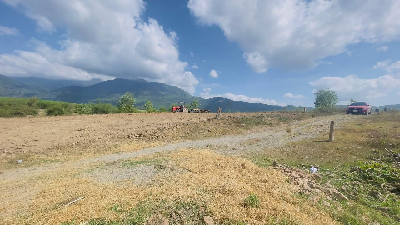 Đất nền Thuận Nam 1000m² - Sổ đỏ chính chủ, giáp suối!