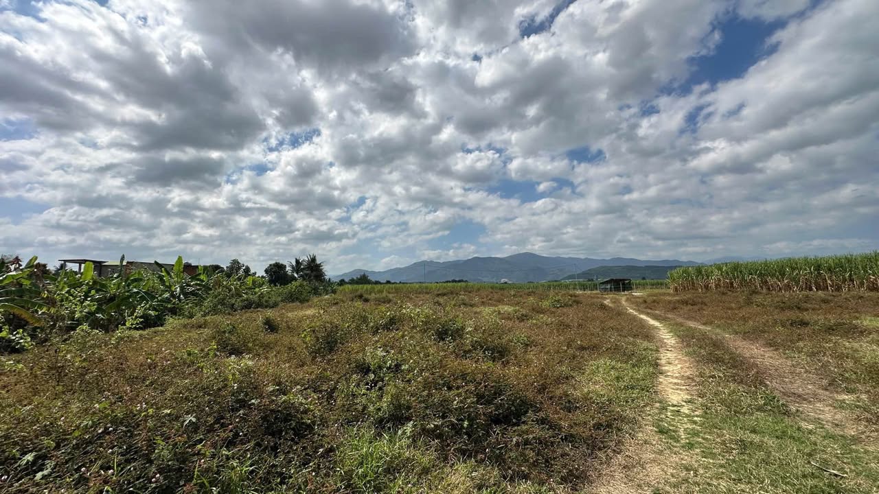 Đất nền Diên Phước Diên Khánh 1424m² - Đất thổ cư 100%!