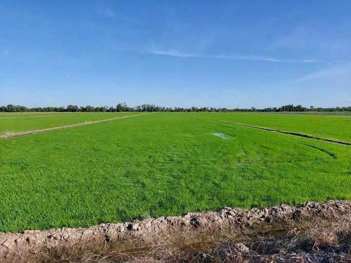 Đất Nền Kiên Lương 47.000m² - Sổ đỏ chính chủ, tiềm năng sinh lời!