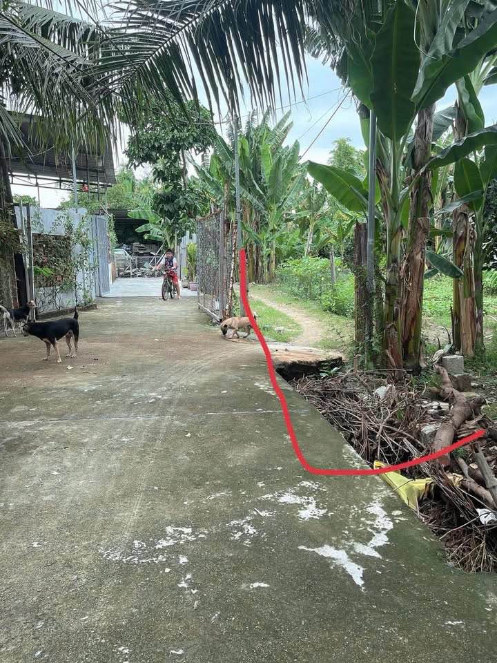 Đất nền Vĩnh Hiệp Nha Trang 225.7m² - Tiềm năng tăng giá vượt trội!