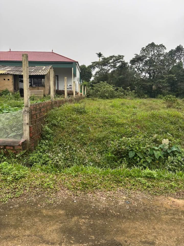 Đất nền Bình Gia Lạng Sơn 253m² giá 500 triệu - Sổ đỏ chính chủ