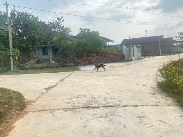 Đất nền Ninh Quang, Ninh Hòa 200m² - Sổ đỏ chính chủ, tiềm năng tăng giá!