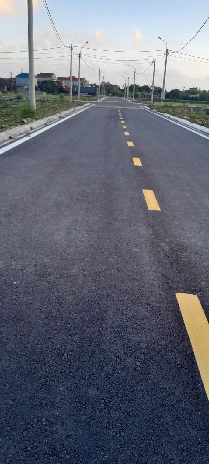 Đất Đấu Giá Khánh Cường, Yên Khánh 115m² - Sổ Đỏ Lâu Dài, Giá Đầu Tư