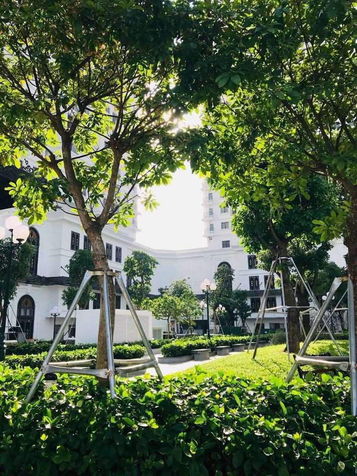 Chung cư Iris Garden 62m² 2PN - Sổ đỏ sẵn sàng, full nội thất